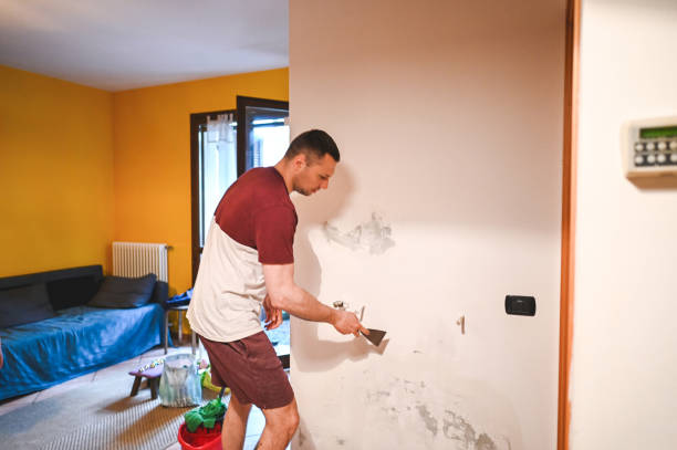 Best Mold Cleaning Services  in Mangum, OK