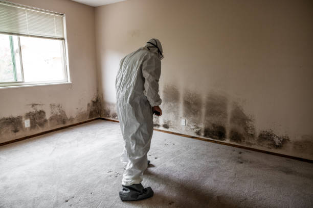 Best Mold Testing  in Mangum, OK
