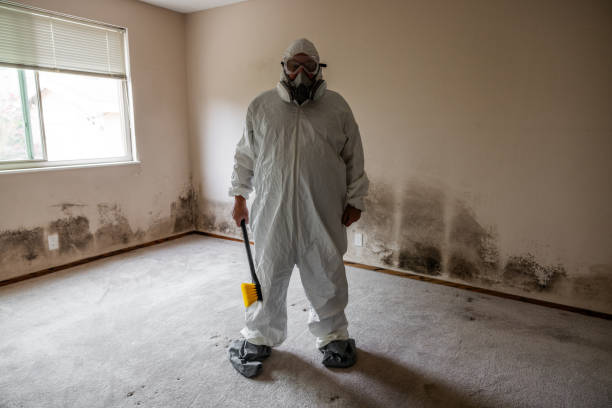 Best Office Mold Removal Services  in Mangum, OK