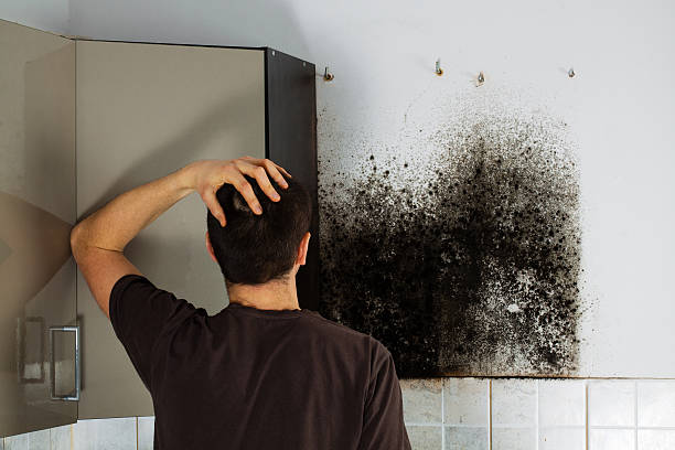 Best Mold Testing and Removal  in Mangum, OK